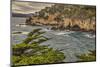 Point Lobos, Carmel, California.-John Ford-Mounted Photographic Print