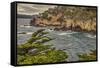 Point Lobos, Carmel, California.-John Ford-Framed Stretched Canvas