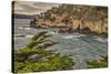 Point Lobos, Carmel, California.-John Ford-Stretched Canvas