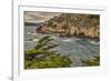 Point Lobos, Carmel, California.-John Ford-Framed Photographic Print