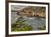 Point Lobos, Carmel, California.-John Ford-Framed Photographic Print