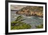 Point Lobos, Carmel, California.-John Ford-Framed Photographic Print