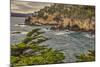 Point Lobos, Carmel, California.-John Ford-Mounted Photographic Print