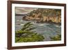 Point Lobos, Carmel, California.-John Ford-Framed Photographic Print