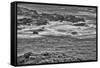 Point Lobos, Carmel, California.-John Ford-Framed Stretched Canvas