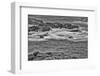 Point Lobos, Carmel, California.-John Ford-Framed Photographic Print