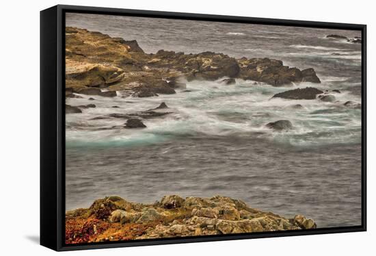 Point Lobos, Carmel, California.-John Ford-Framed Stretched Canvas