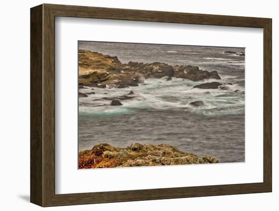 Point Lobos, Carmel, California.-John Ford-Framed Photographic Print