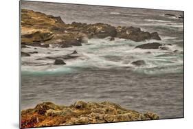 Point Lobos, Carmel, California.-John Ford-Mounted Photographic Print