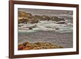 Point Lobos, Carmel, California.-John Ford-Framed Photographic Print