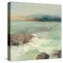 Point Lobos Crop-Julia Purinton-Stretched Canvas