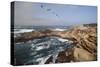 Point Lobos State Natural Reserve-Stuart-Stretched Canvas