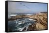 Point Lobos State Natural Reserve-Stuart-Framed Stretched Canvas