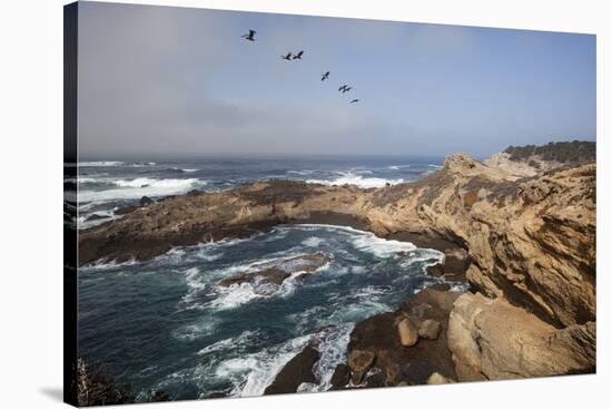 Point Lobos State Natural Reserve-Stuart-Stretched Canvas