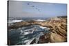 Point Lobos State Natural Reserve-Stuart-Stretched Canvas