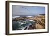 Point Lobos State Natural Reserve-Stuart-Framed Photographic Print