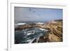 Point Lobos State Natural Reserve-Stuart-Framed Photographic Print