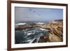 Point Lobos State Natural Reserve-Stuart-Framed Photographic Print