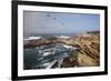 Point Lobos State Natural Reserve-Stuart-Framed Photographic Print