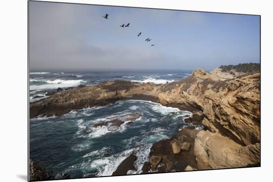 Point Lobos State Natural Reserve-Stuart-Mounted Photographic Print