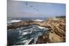 Point Lobos State Natural Reserve-Stuart-Mounted Photographic Print