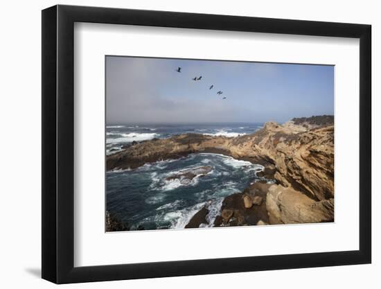 Point Lobos State Natural Reserve-Stuart-Framed Photographic Print