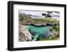 Point Lobos State Natural Reserve-Wolterk-Framed Photographic Print