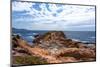 Point Lobos State Natural Reserve-Wolterk-Mounted Photographic Print