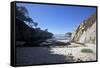 Point Lobos State Reserve, California-Dan Schreiber-Framed Stretched Canvas