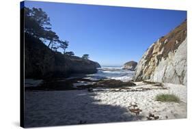 Point Lobos State Reserve, California-Dan Schreiber-Stretched Canvas