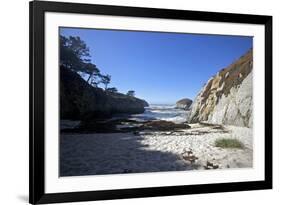 Point Lobos State Reserve, California-Dan Schreiber-Framed Photographic Print