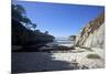 Point Lobos State Reserve, California-Dan Schreiber-Mounted Photographic Print