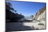 Point Lobos State Reserve, California-Dan Schreiber-Mounted Photographic Print