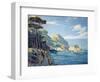 Point Lobos-Louis Sharp-Framed Art Print