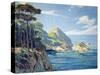 Point Lobos-Louis Sharp-Stretched Canvas