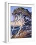 Point Lobos-Guy Rose-Framed Art Print