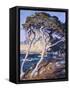 Point Lobos-Guy Rose-Framed Stretched Canvas