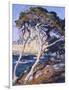 Point Lobos-Guy Rose-Framed Art Print