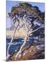 Point Lobos-Guy Rose-Mounted Art Print