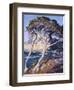 Point Lobos-Guy Rose-Framed Art Print