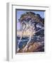 Point Lobos-Guy Rose-Framed Art Print