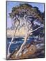 Point Lobos-Guy Rose-Mounted Art Print
