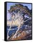 Point Lobos-Guy Rose-Framed Stretched Canvas