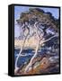 Point Lobos-Guy Rose-Framed Stretched Canvas