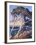 Point Lobos-Guy Rose-Framed Art Print