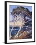 Point Lobos-Guy Rose-Framed Art Print