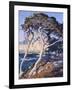 Point Lobos-Guy Rose-Framed Art Print