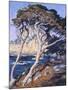 Point Lobos-Guy Rose-Mounted Art Print
