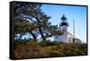 Point Loma Lighthouse I-Alan Hausenflock-Framed Stretched Canvas