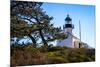 Point Loma Lighthouse I-Alan Hausenflock-Mounted Photo